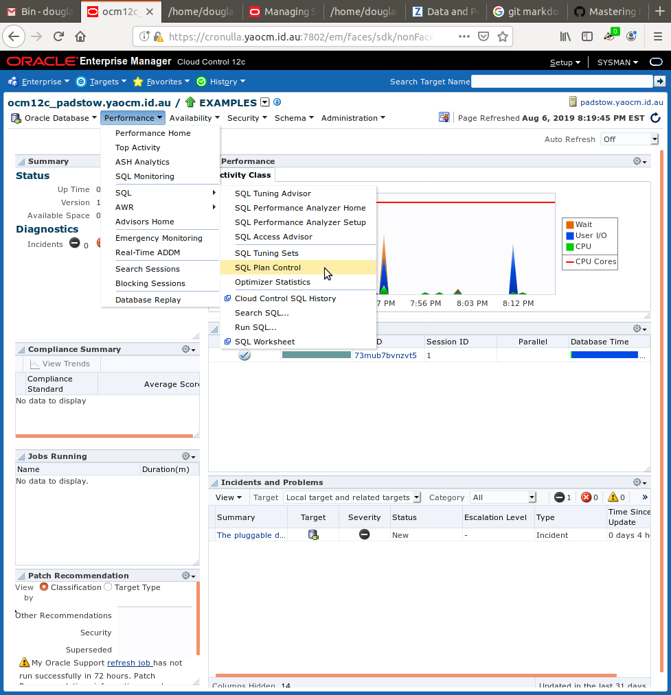 Database home page, then Performance, then SQL Plan Control