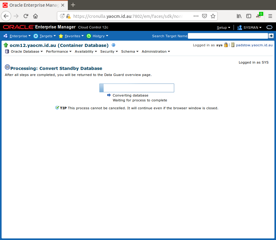 EM Processing: Convert Standby Database