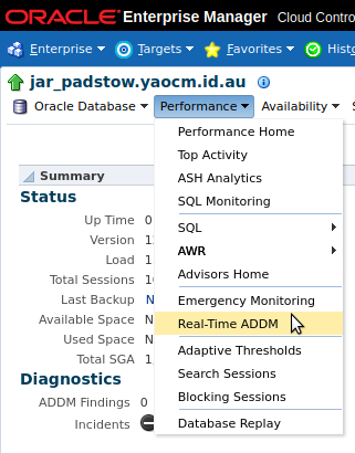 Access Real Time ADDM through OEM