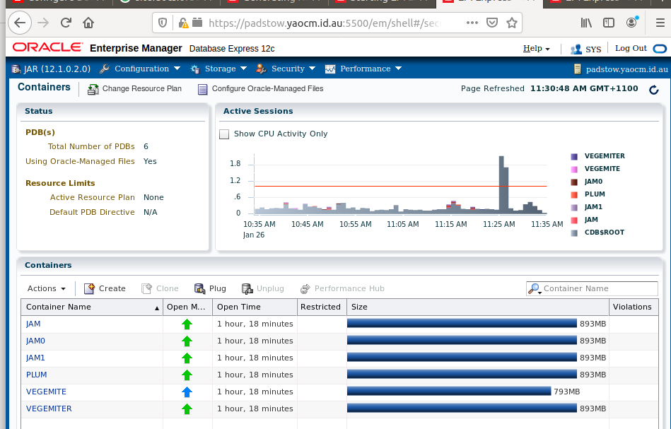 Front page of EM Express for SYS User on CDB