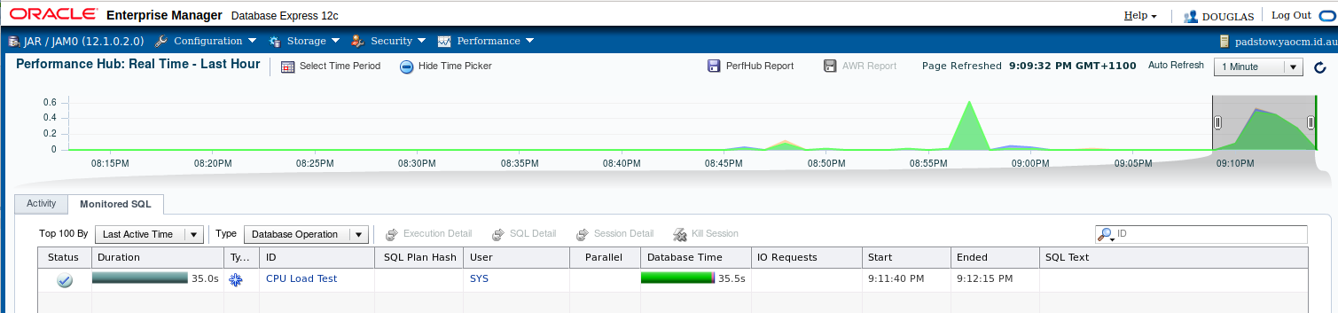 Real Time Operation Summary for DB Operation