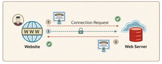 Mutual TLS Connection