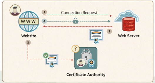 TLS Connection